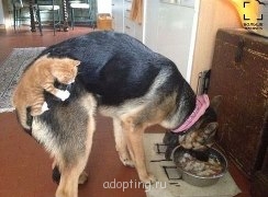 Улыбнитесь  - getImage (1).jpg