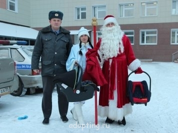 Безопасность - ySTm3Vlw-FM.jpg