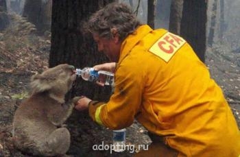 Этот безумный, безумный, безумный, безумный мир - post-4590-087603800 1389956636_thumb.jpg