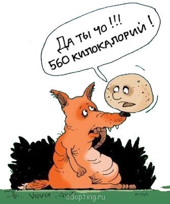 Дамские разговоры или как-таки похудеть - x_d430bf87.jpg