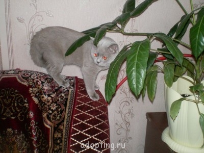 Зверье мое - PICT2155.JPG