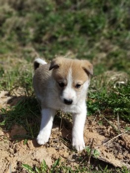 Зверье мое - IMG_20190504_114016.jpg