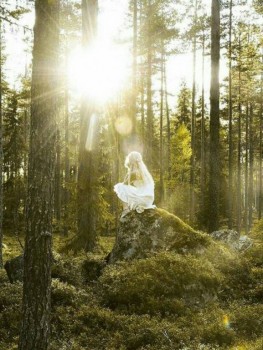 Мудрые слова - крас.jpg