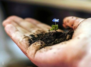 Мудрые слова - наде.jpg