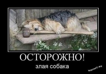 Улыбнитесь  - соб.jpg