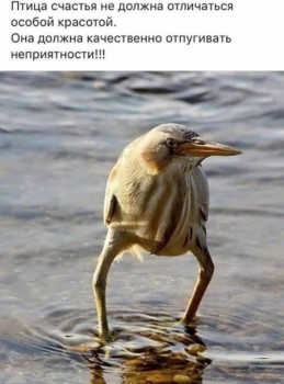 Улыбнитесь  - 66445282_461858841029433_4039254392124211200_n.jpg