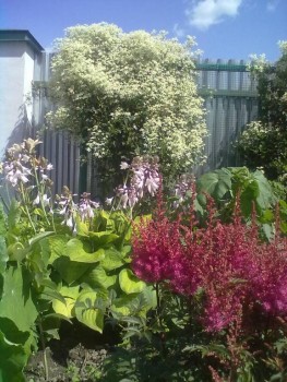  Цветов цветение - искусство  - 230720192633.jpg