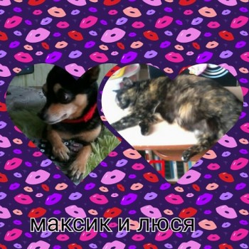 Зверье мое - 2406.jpg