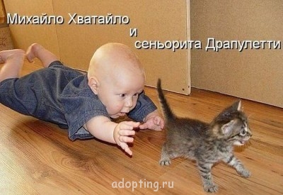 Веселые картинки - getImageCA84L649.jpg