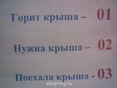 От улыбки солнечной твоей - getImageCA045PN5.jpg