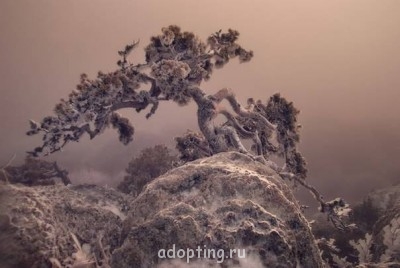 Как прекрасен этот мир, посмотри  - W8IML7LgcNA.jpg