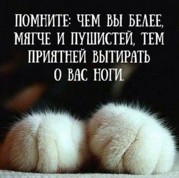 Житейская психология - 40381356_2091396184217939_28529157054922752_n.jpg