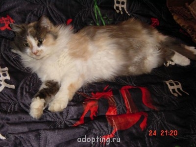 Зверье мое - DSC00033.JPG