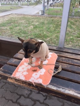 Зверье мое - i2fwgzd8lfc.jpg