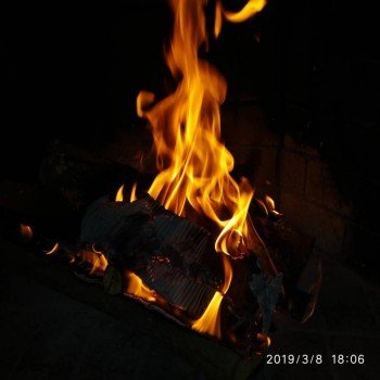 Зверье мое - IMG_20190308_180617.jpg