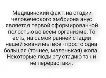 Мудрые слова - жопа.jpg