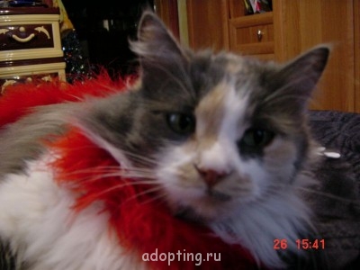 Зверье мое - DSC00107.JPG