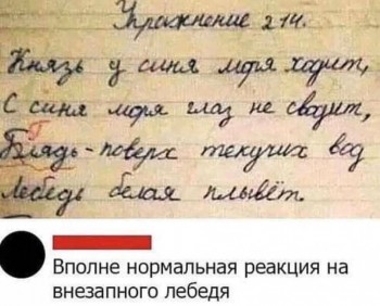 Я люблю русский язык - 80101591_1797207450403390_4133551206561742848_n.jpg