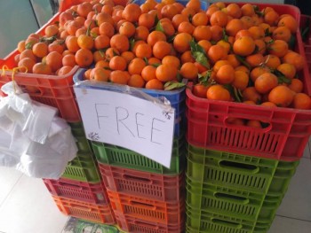 Джингл белз, джингл белз, ляляляляля - sz_UEg9UFOs.jpg