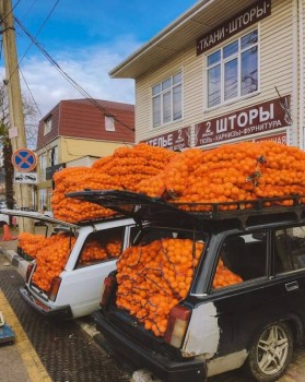 Джингл белз, джингл белз, ляляляляля - JQq2u8b-LO4.jpg