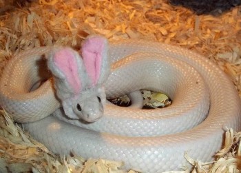 Психопатия - t_650.650.img5c2f513955d79.jpeg