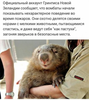 НЕравнодушие хороших людей много  - б.jpg