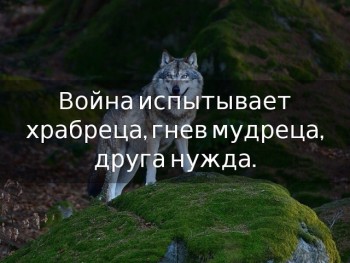 Мудрые слова - i (68).jpg