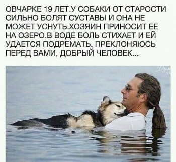 НЕравнодушие хороших людей много  - i (54).jpg