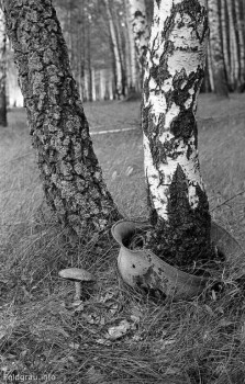 День Победы. Рассказы о войне. - бер.jpg