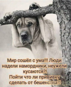 Улыбнитесь  - Снимок.jpg