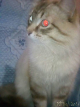 Зверье мое - 2800[1].jpg