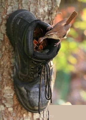 Идеи для интерьера. Своими руками - 1.jpg