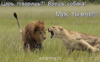 Веселые картинки - getImageCA82T8LM.jpg