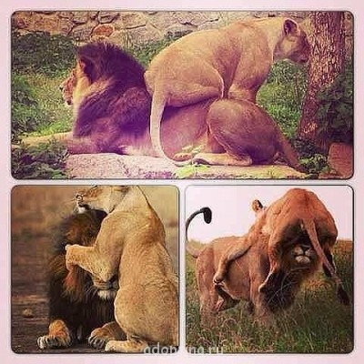 Мой муж. Что хочу, то и делаю...