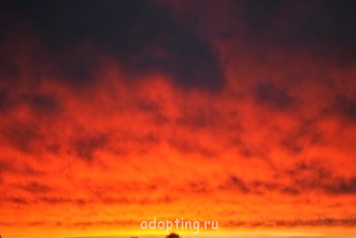 Как прекрасен этот мир, посмотри  - 7141_cap_12.jpg