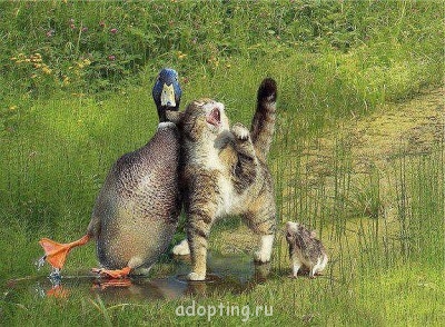 Веселые картинки - getImage.jpg