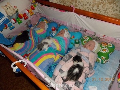 От улыбки солнечной твоей - GNMBXFtkdf8.jpg