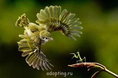 Веселые картинки - 6lwoL_L_arg.jpg