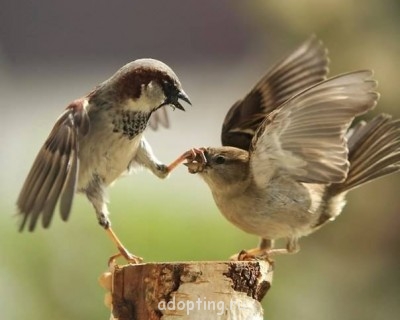 Веселые картинки - k0-fswSdAwo.jpg