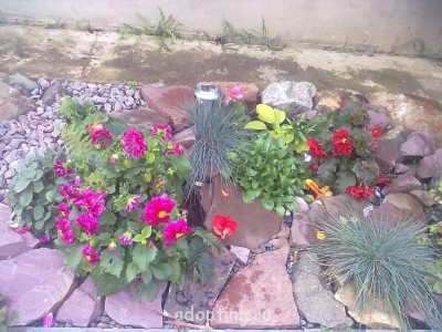  Сухой ручей  - 26092013415.jpg