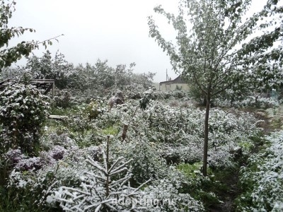 Осень - DSC02410.JPG