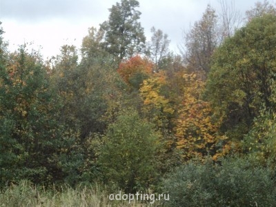 А еще вчера....