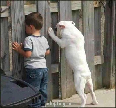 Вот говорят: "Меньше знаешь-крепче спишь"....ЕРУНДА!!!!!! Пока не узнаешь - вообще не уснёшь!