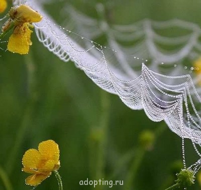 Как прекрасен этот мир, посмотри  - getImageCAQ0G6DE.jpg