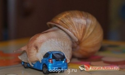 Как прекрасен этот мир, посмотри  - 11210_zc4_2ep9dnirhga.jpg