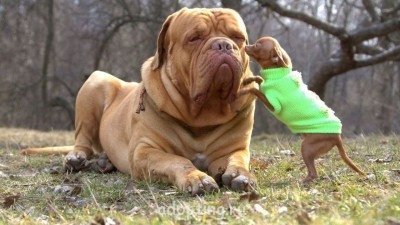 Веселые картинки - J3NVzGXlVyA.jpg