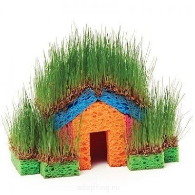 использование губки в новом варианте