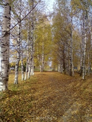 Осень - 03102013421.jpg