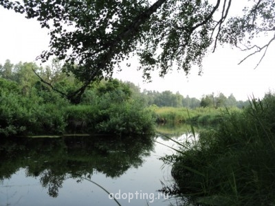 О переезде на ПМЖ - Вот такое оно лето  2012 025.jpg