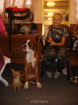 Зверье мое - DSC04149.JPG